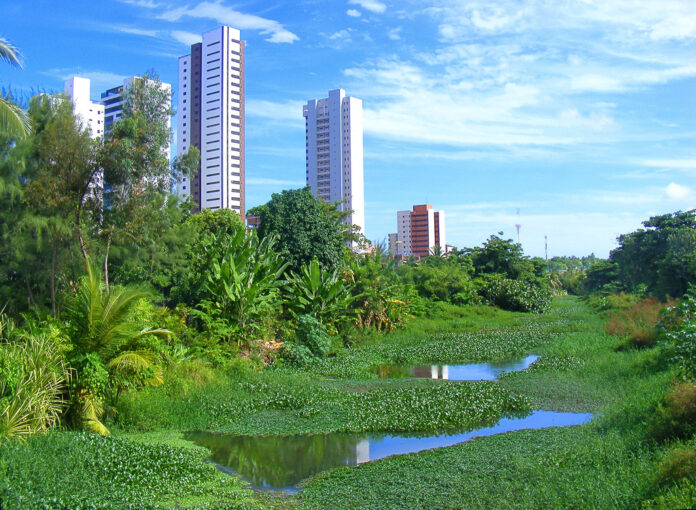 Rio Jaguaribe