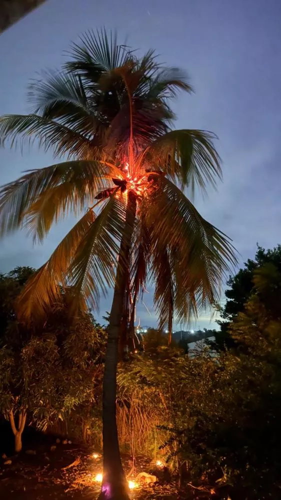 4198471bd56819f35c4cd297af0a395a