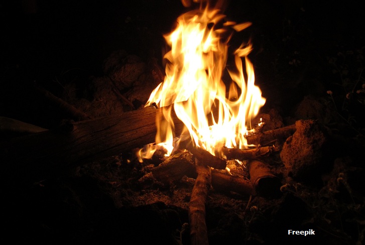 Vertical shot of burning wood in a campfire at night