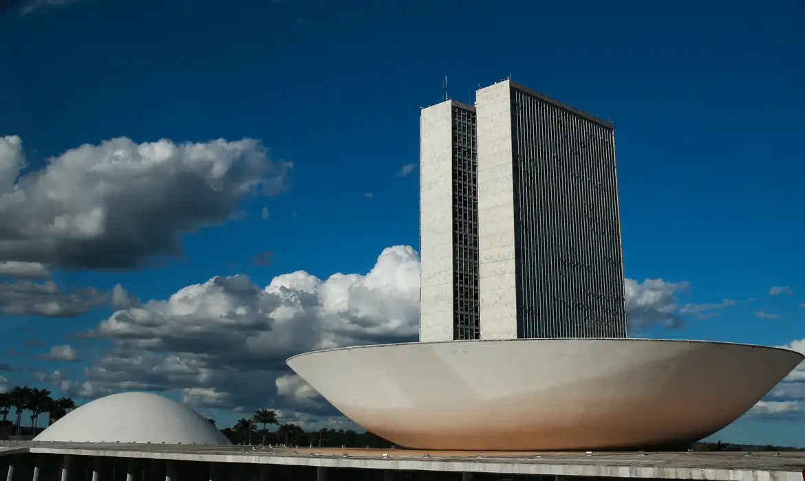 monumentos_brasilia_cupula_plenario_da_camara_dos_deputados3103201341.jpg