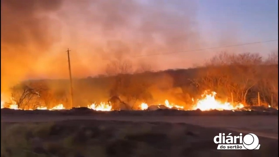incendios-em-vegetacao-1